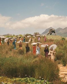 a group of people with umbrellas standing in the grass near some water lilies