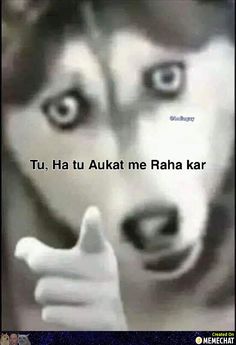 an animal with its mouth open and the words tu ha huu aut me raha kar