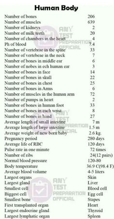 How Many Bones In The Body Human Anatomy, Number Of Bones In Human, How Many Bones In Human, How Many Types Of Doctors, Human Body Limits, Human Body Knowledge, Health Knowledge English, Basic Biology Terms, Science Basics Knowledge