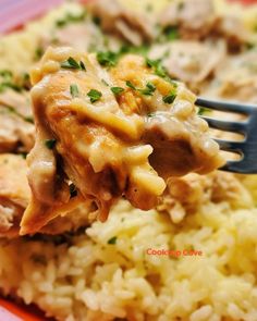 a fork full of food on top of rice with meat and gravy over it