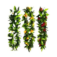 three different types of plants hanging from the side of a white wall with green leaves and red flowers