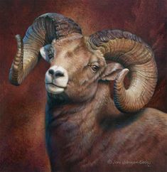 a painting of a ram with large horns