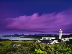 the lighthouse is surrounded by greenery and purple skies