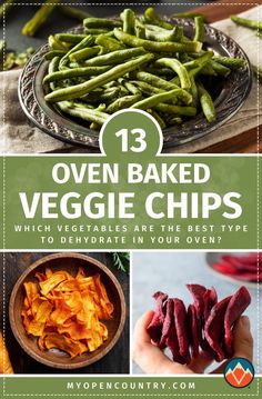 the cover of 13 oven baked veggie chips which vegetables are the best type to dehydrate in your oven?