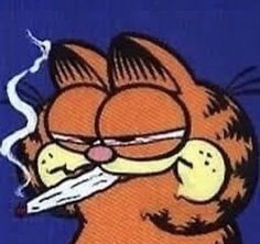 Zaza Pfp, Me Pfp, Garfield Stuff, Just Like Me Fr, Garfield Pictures, Garfield Images, Garfield Cat, Puff And Pass, Oui Oui