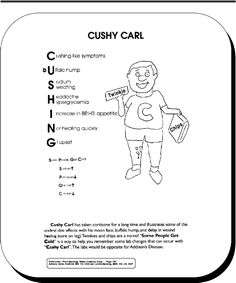 the cushy cari worksheet is shown with an image of a person holding