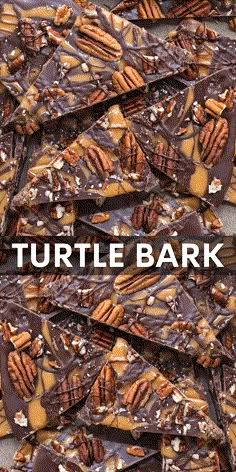 chocolate turtle bark with nuts and pecans on top, in front of the words turtle bark