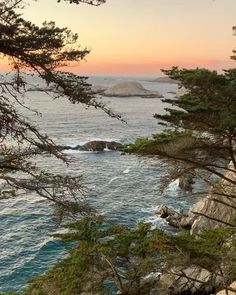 the sun is setting over the ocean with trees in front of it and rocks on the shore