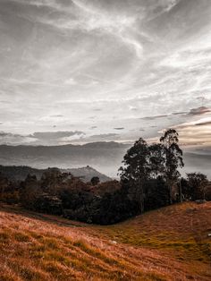 a grassy field with trees and mountains in the background at sunset or dawn, under cloudy skies