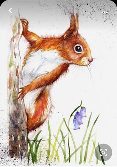 a watercolor painting of a squirrel climbing on a tree trunk with grass and flowers in the background