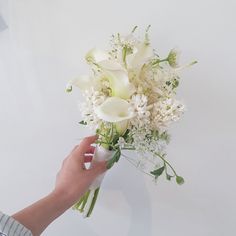 a hand holding a bouquet of white flowers