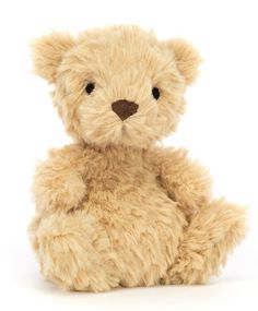 a brown teddy bear sitting up against a white background