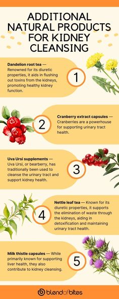 The Best 6 Foods for Kidney Cleansing - Blend of Bites Nettle Leaf Tea, Dandelion Root Tea, Healthy Kidneys, Kidney Diet