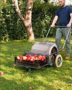 a man pushing a cart with apples in it on the grass next to a tree