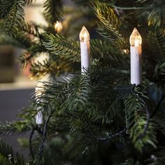 three lit candles are hanging from a christmas tree