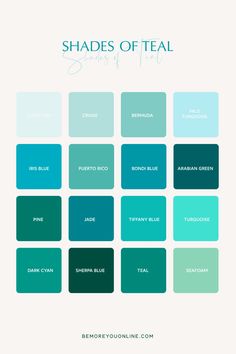 shades of teal are the most popular paint colors for interior walls and floors in this color palette