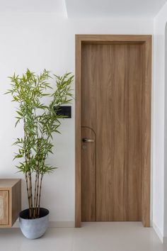 a potted bamboo plant next to a wooden door in a white walled entryway