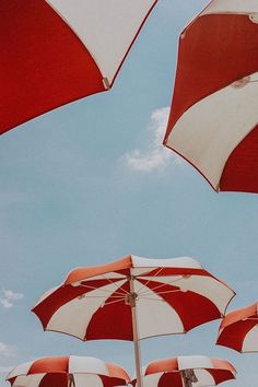 many red and white umbrellas are opened in the air on a sunny day with blue skies