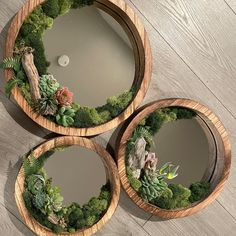 three round wooden mirrors with plants in them