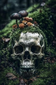 a skull with moss and mushrooms on it's head in the middle of a forest