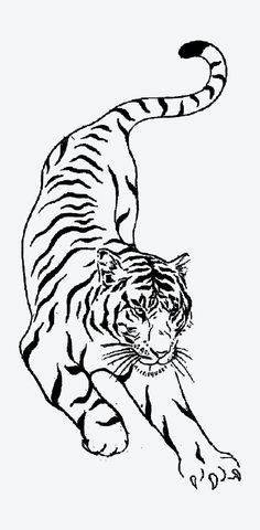 a black and white drawing of a tiger with its tail spread out to the side