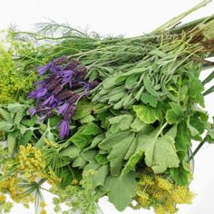 a bunch of different types of flowers and herbs