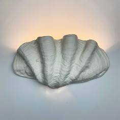 a shell shaped light fixture on the wall