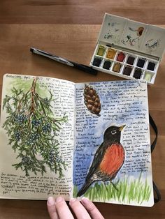 a hand holding an open book with watercolors on it next to a drawing of a bird