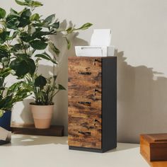 a wooden cabinet with several drawers on top of it next to a potted plant