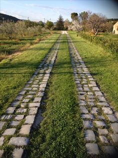 there are two rows of cobblestones in the grass