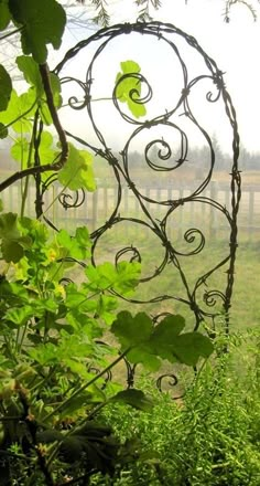 an iron gate in the middle of a field with green grass and vines around it