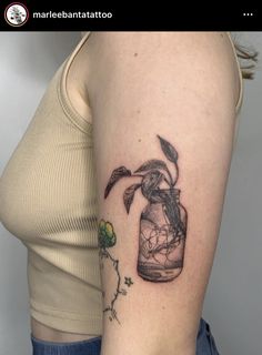 a woman's arm with a tattoo on it and a plant in a jar