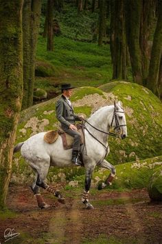 a man riding on the back of a white horse through a forest filled with trees