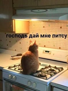 a cat sitting on top of an oven in a kitchen with the words russian above it