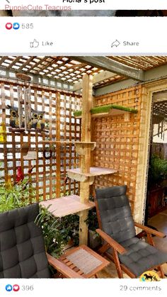 two chairs sitting in front of a wooden trellis