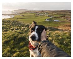 a person petting a dog on the top of a hill with green fields in the background