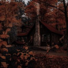 a house in the woods surrounded by trees with red leaves on it's branches