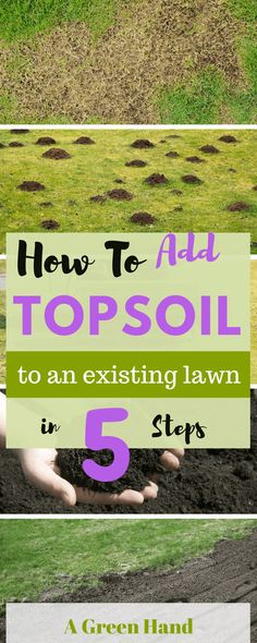 how to get top soil to an existing lawn in 5 steps with text overlay