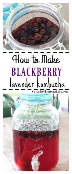 how to make blackberry lavender kombucha in a jar with text overlay