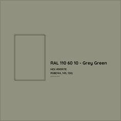 the back cover of ral 1010 - 10 grey green, with an image of a