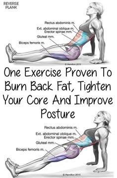 an exercise poster showing how to use the back and hip exercises for lower back pain