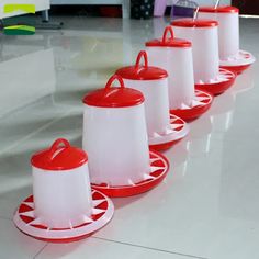 red and white bird feeders lined up on the floor