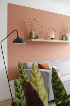 a living room with pink walls and plants on the shelf above the couch, along with other decor items