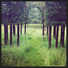 an open field with trees and a ladder in the middle of it that is surrounded by tall grass