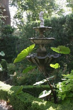 a water fountain surrounded by lush green trees