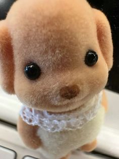 a small stuffed animal wearing a white lace collar on top of a laptop computer keyboard