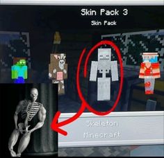 an image of the skin pack 3 for minecraft using skeleton linens and other skins