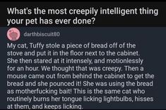 a text message that reads, what's the most creepy intelligent thing your pet has ever done?