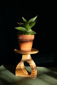 a potted plant sitting on top of a wooden stand