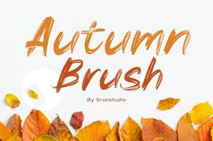 autumn brush font with leaves on white background